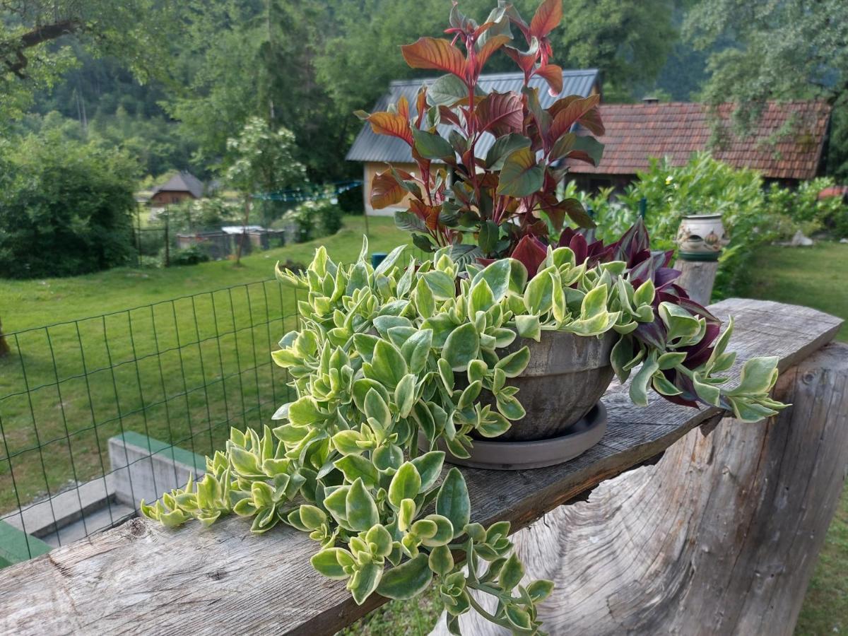 Apartmaji Katrc Soča Exterior foto