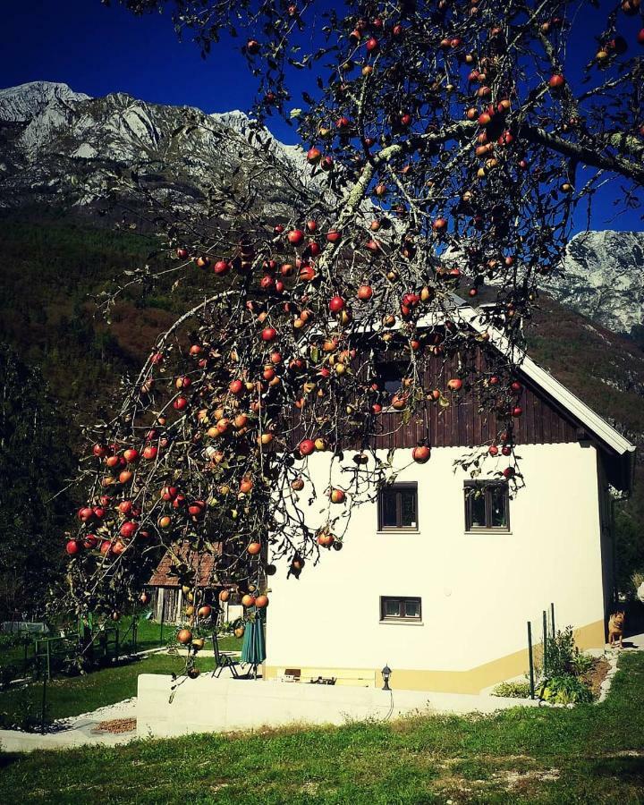Apartmaji Katrc Soča Exterior foto