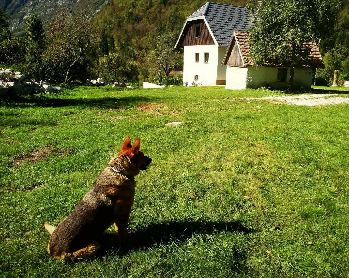 Apartmaji Katrc Soča Exterior foto